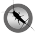 Silverfish